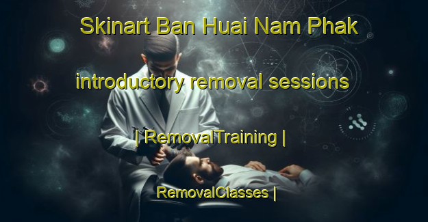 Skinart Ban Huai Nam Phak introductory removal sessions | RemovalTraining | RemovalClasses | SkinartTraining-Thailand